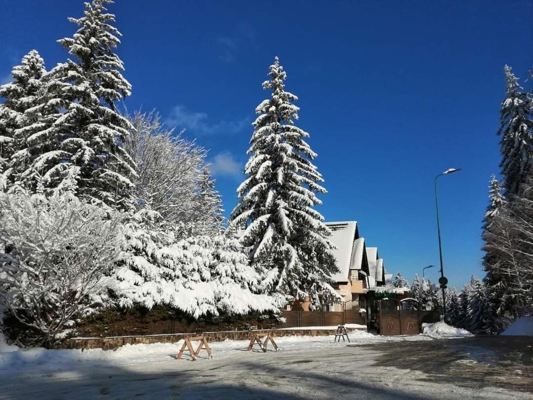 Pensiunea Colina Poiana Brasov Eksteriør billede
